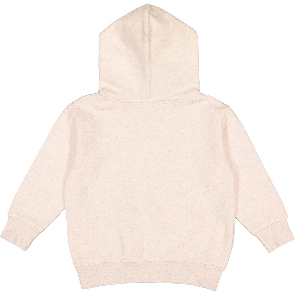 Toddler Hoodie T601713