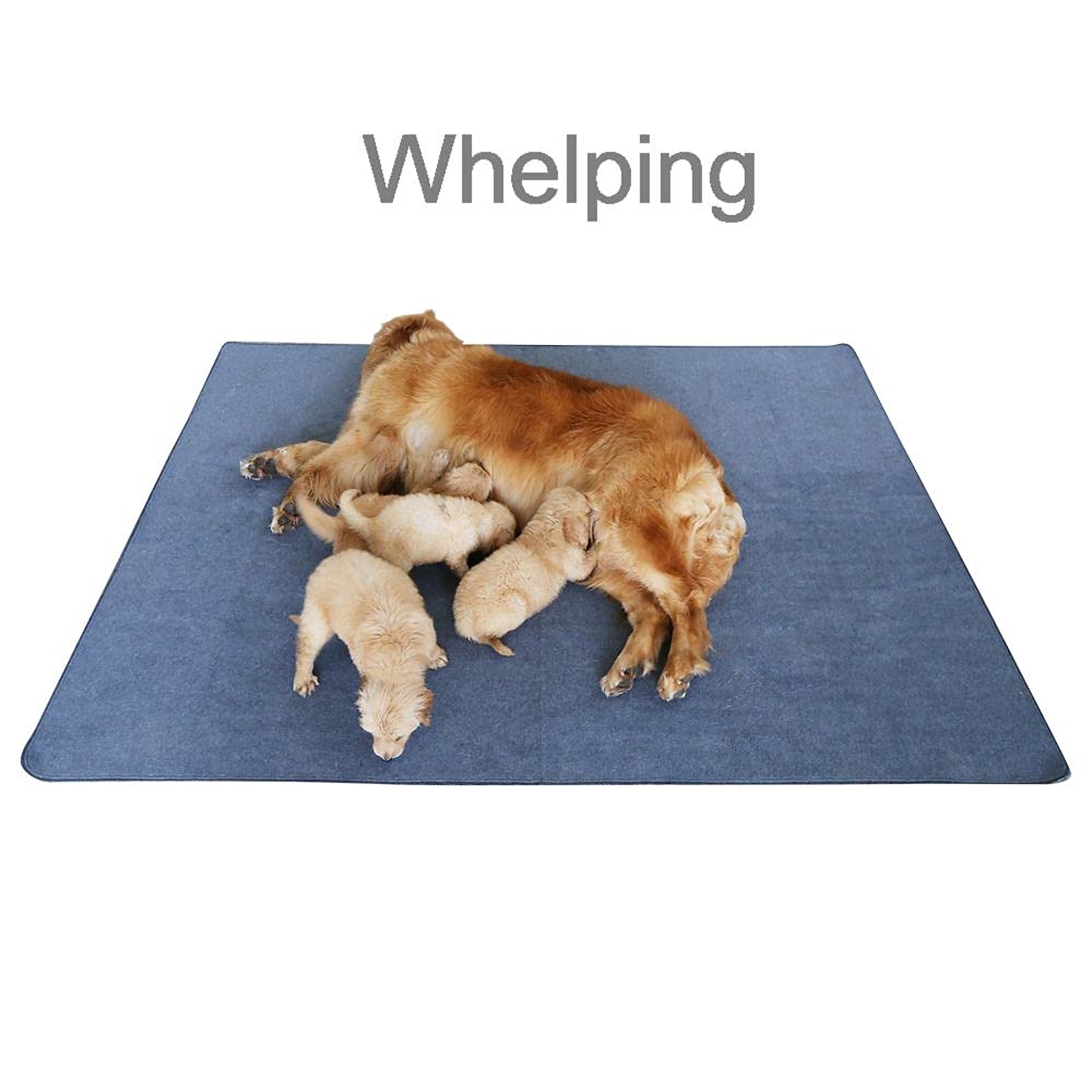 Non-Slip Washable Waterproof Dog Pad 72"x72" Q391176