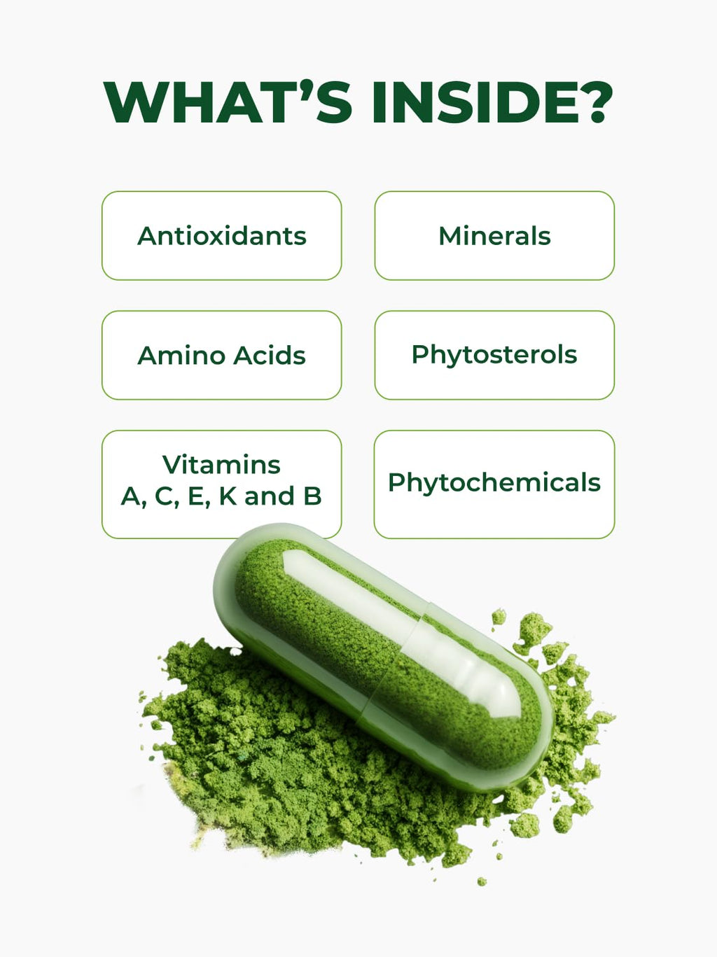 Organic Moringa Capsules 120ct 500mg W27530