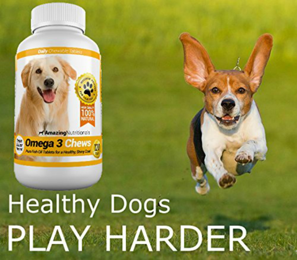 Omega-3 Fish Oil and Turmeric Curcumin Chews for Dogs G309884
