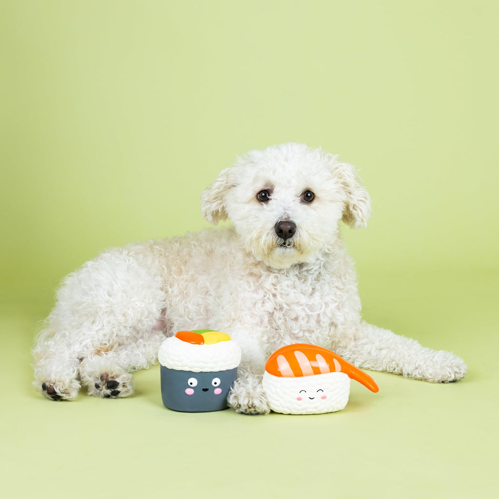 Set of 2 Latex Dog Toy Sets J1170