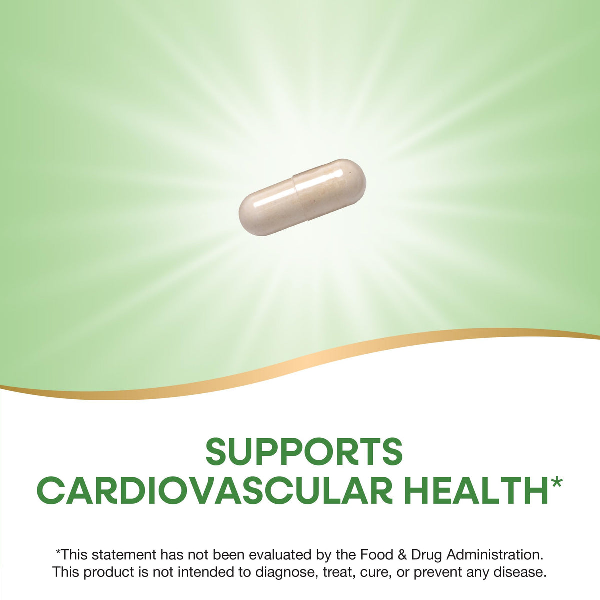 Garlic Bulb Capsules 580mg 100 ct O1772