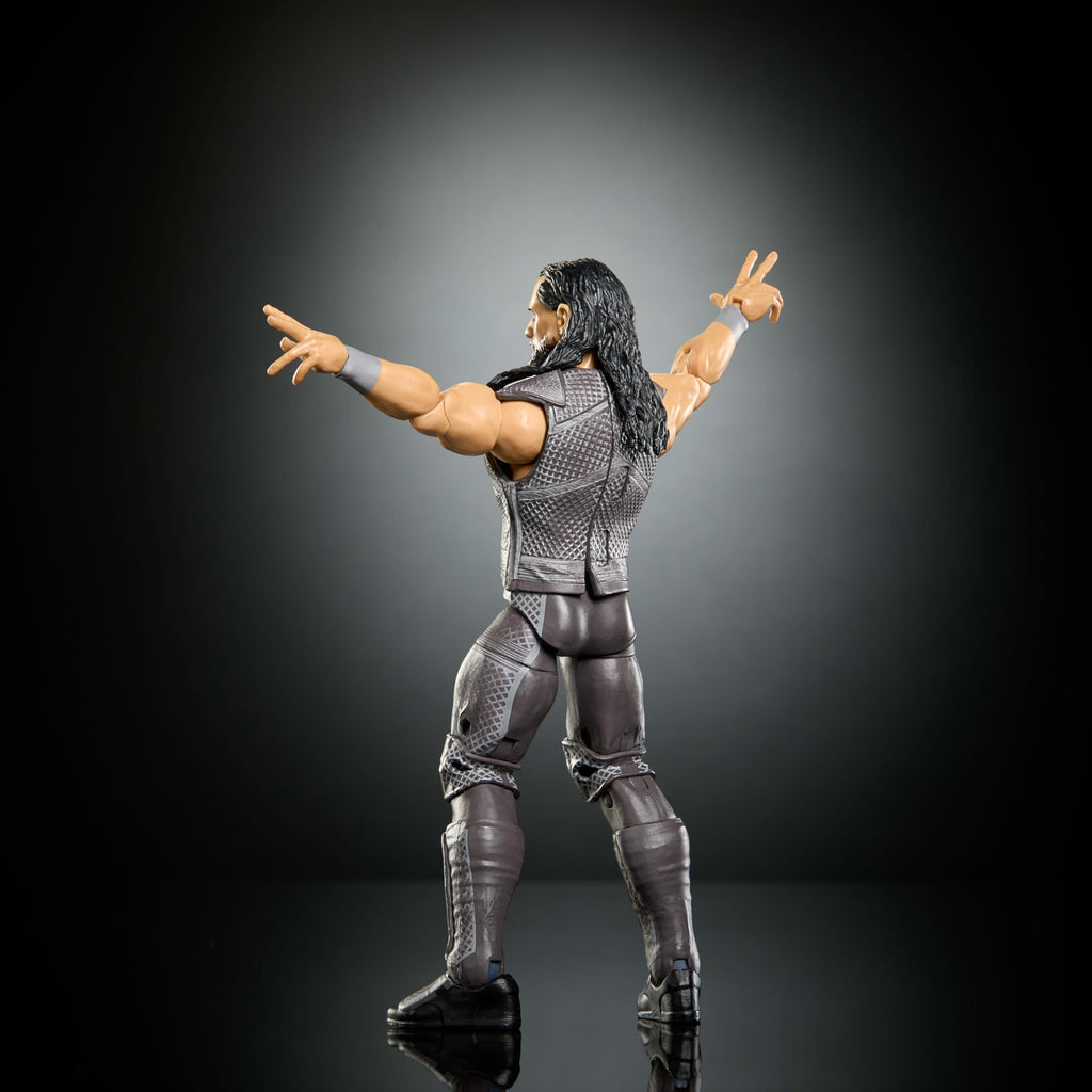 WWE Action Figure & Accessories I23629