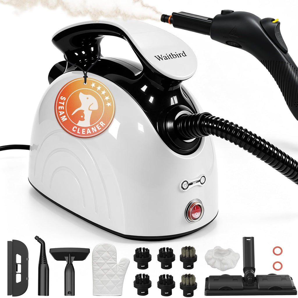 4.5 Bar 300°F Steam Cleaner Z152