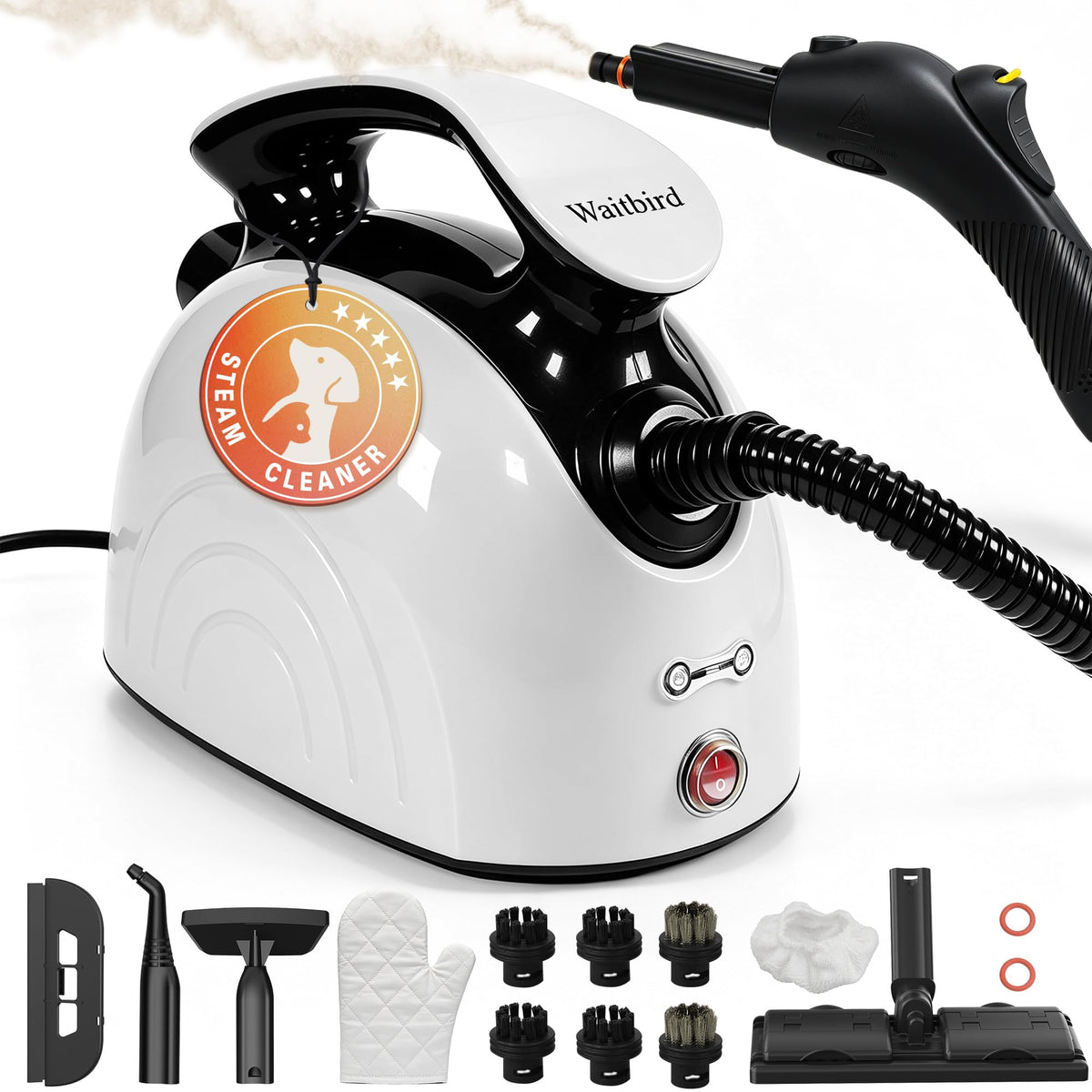 4.5 Bar 300°F Steam Cleaner Z152