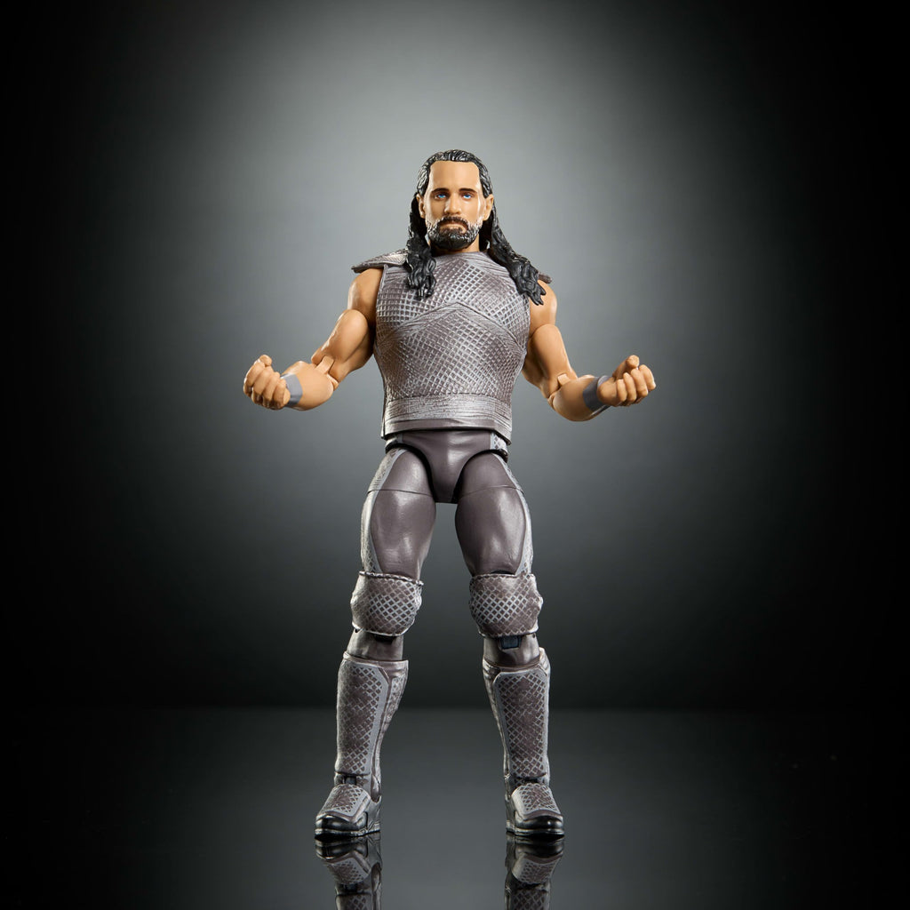 WWE Action Figure & Accessories I23629