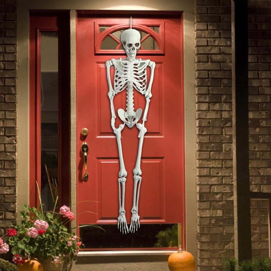 5.4FT Posable Skeleton with Movable Joints H175