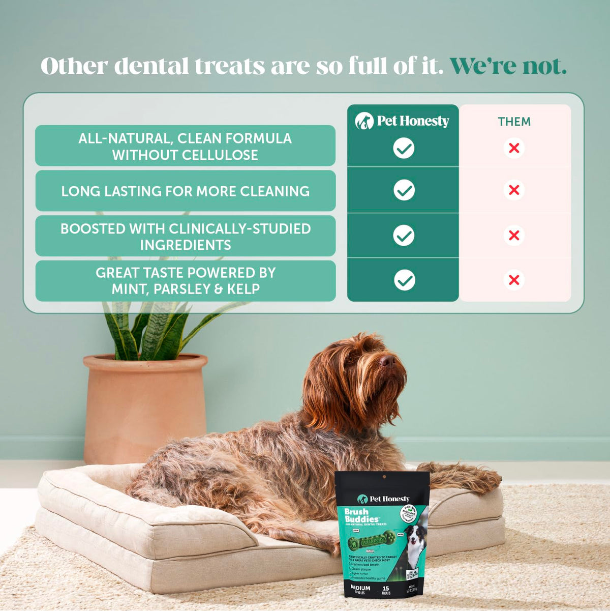 Dog Dental Chews 15 Count J267