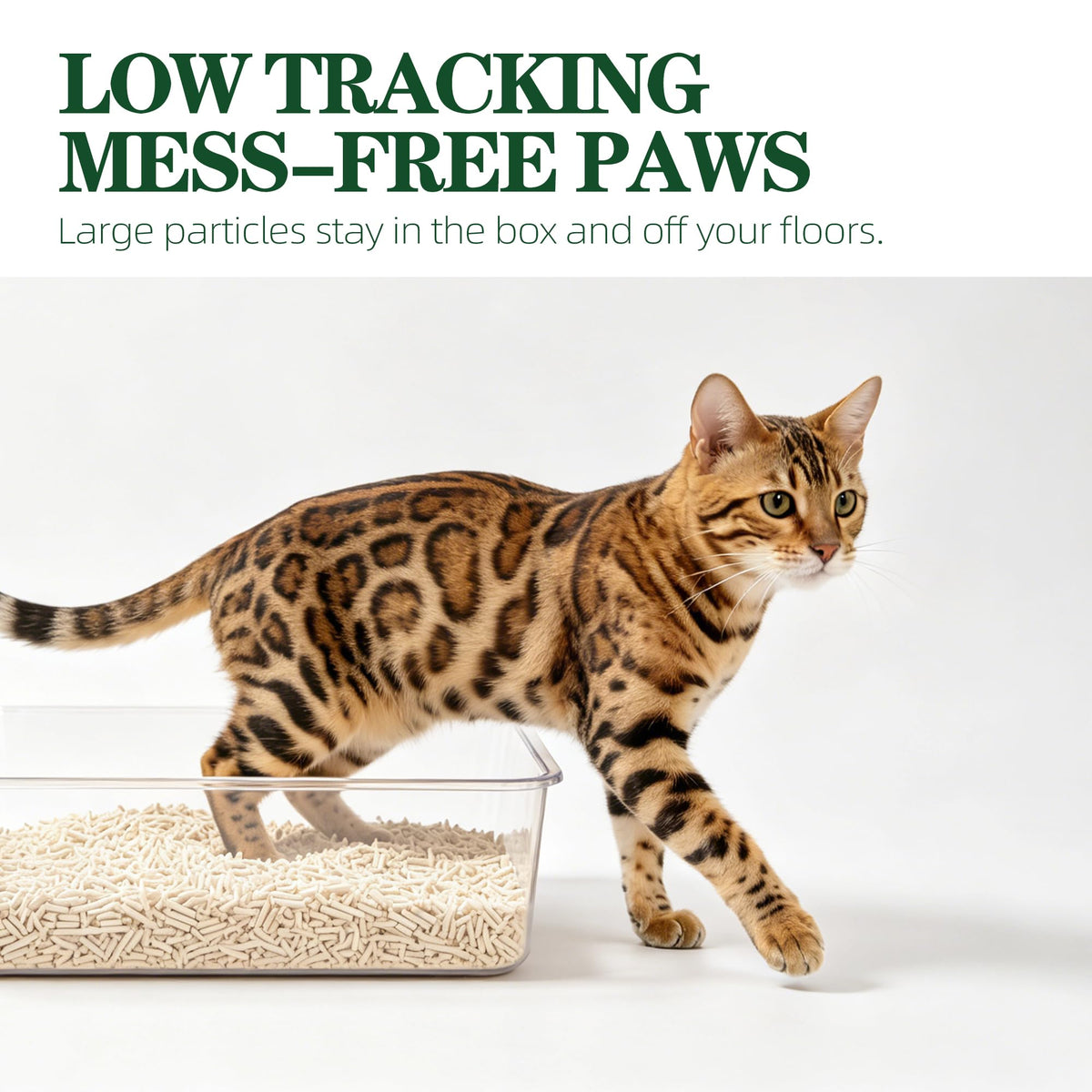 Tofu Cat Litter Clumping Flushable Plant-Based 20.8lbs V284425