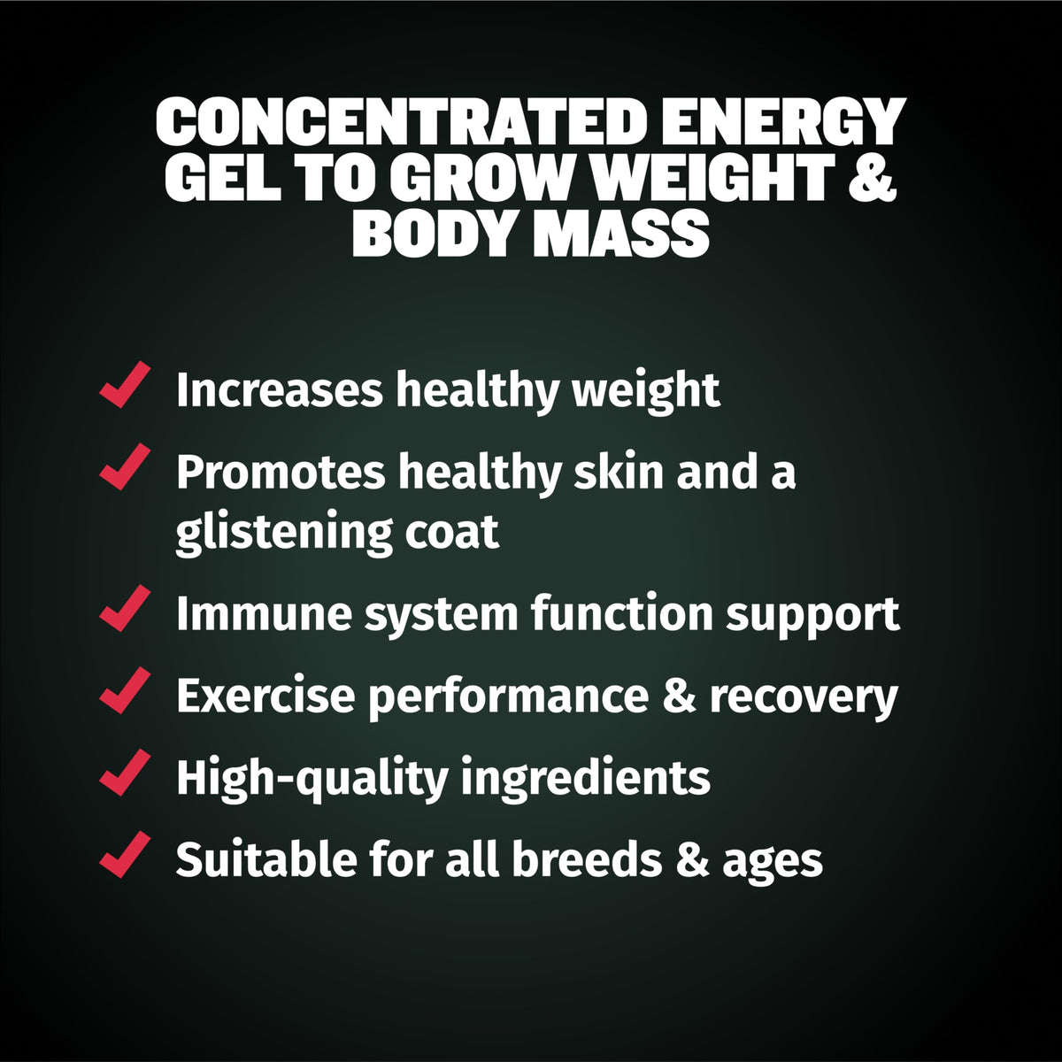 High Protein Beef Dog Food 15 lbs. Weight Gainer Supplement Bundle R34717