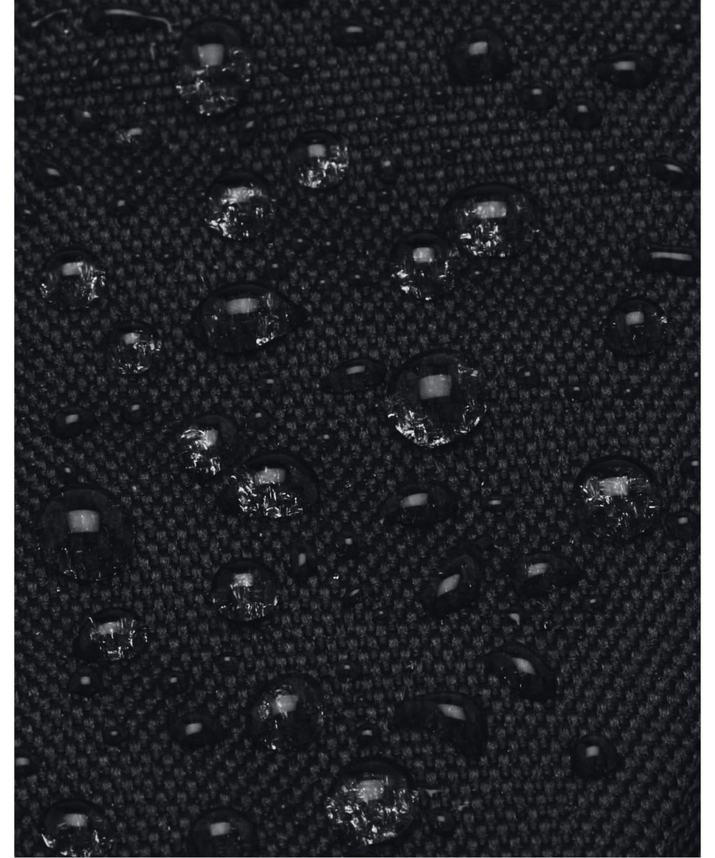Black Backpack F736