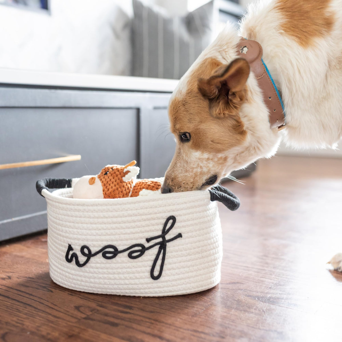 Puppy Gift Basket W345380