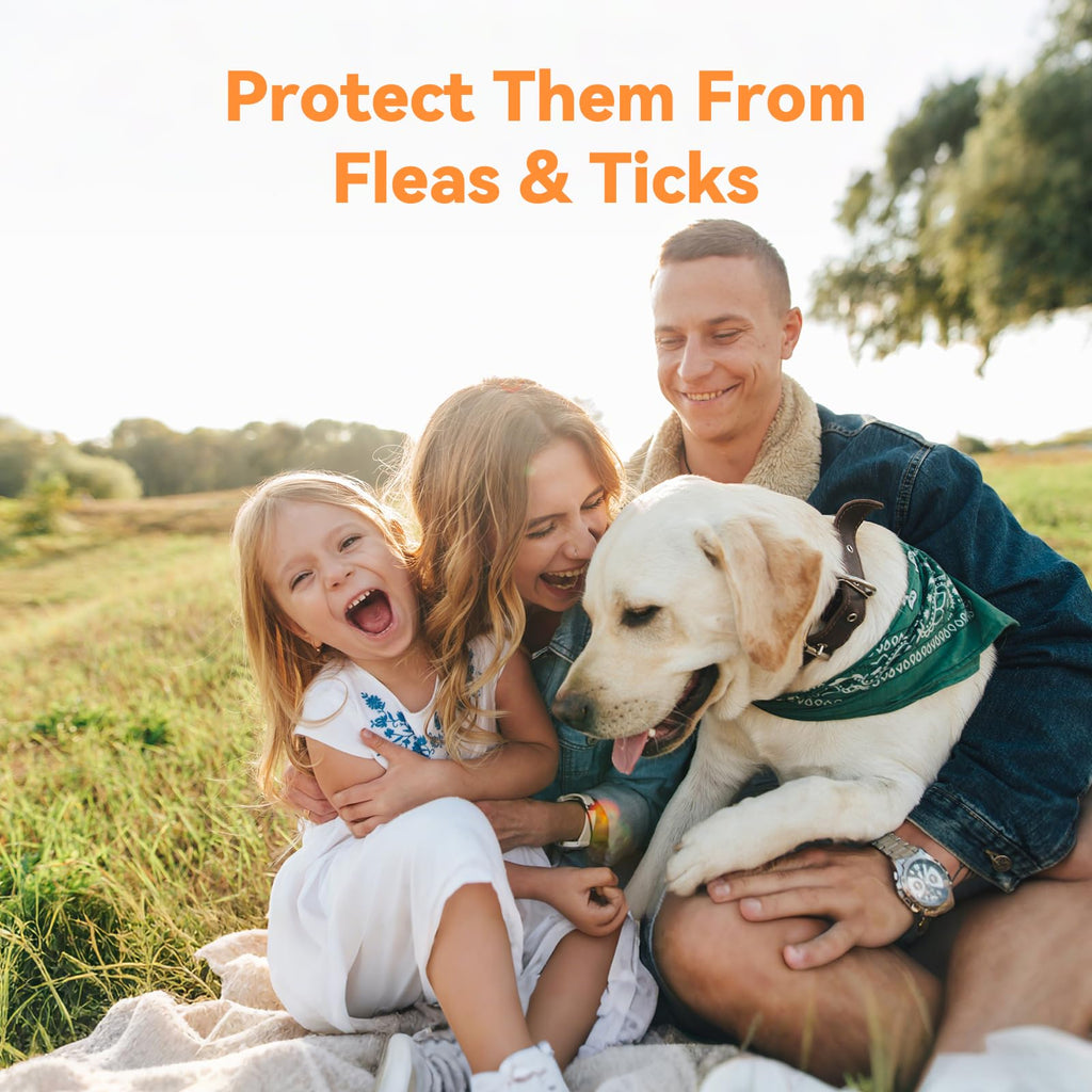 Flea and Tick Prevention for Large Dogs 3 Monthly Doses U172