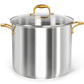 20 Quart Stainless Steel Stock Pot with Lid A291831