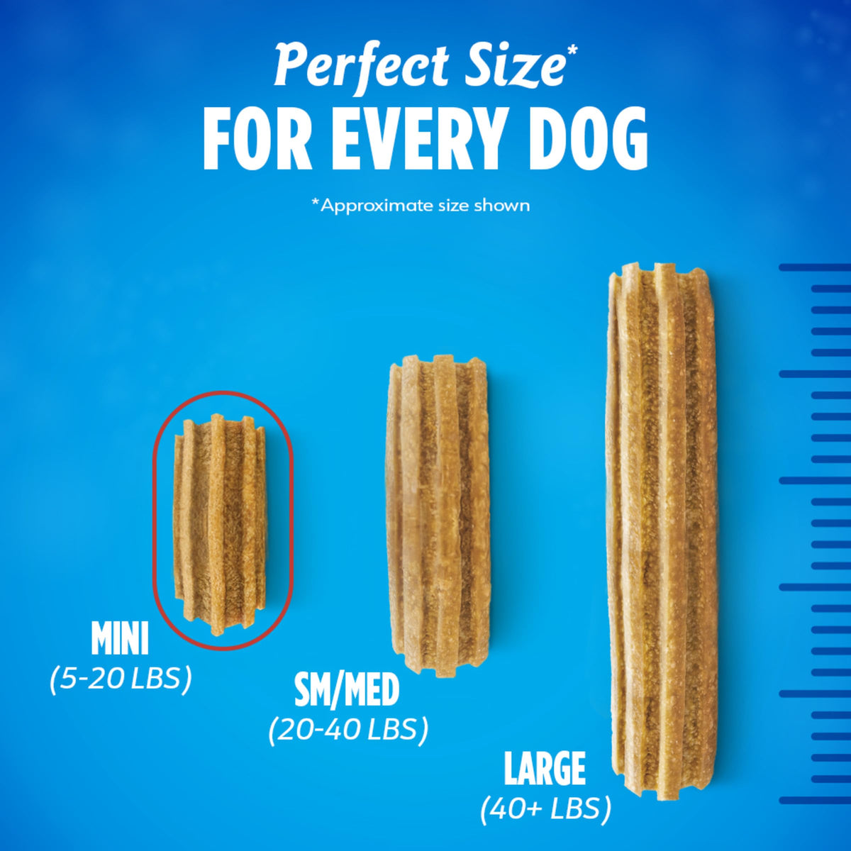 Daily Oral Care Dog Treats for Small Dogs, 58 ct T554