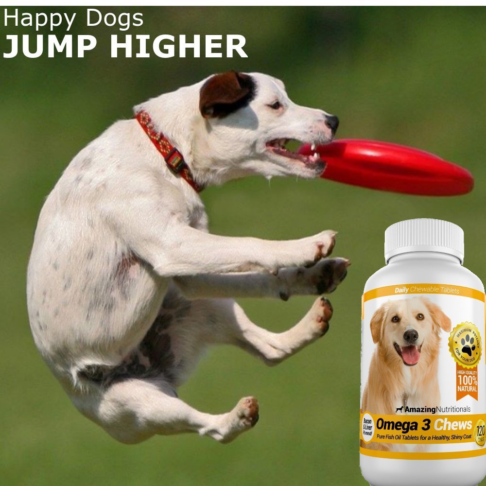 Omega-3 Fish Oil and Turmeric Curcumin Chews for Dogs G309884