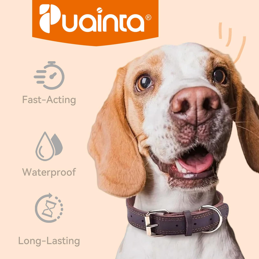 Flea and Tick Prevention for Large Dogs 3 Monthly Doses U172