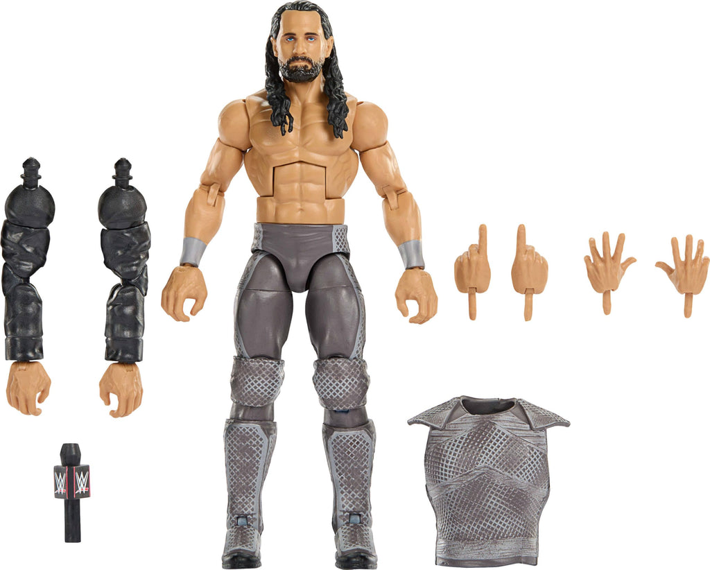 WWE Action Figure & Accessories I23629