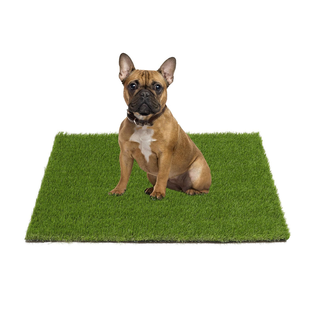 20x25 inches Artificial Grass Pad with Drainage Holes D394