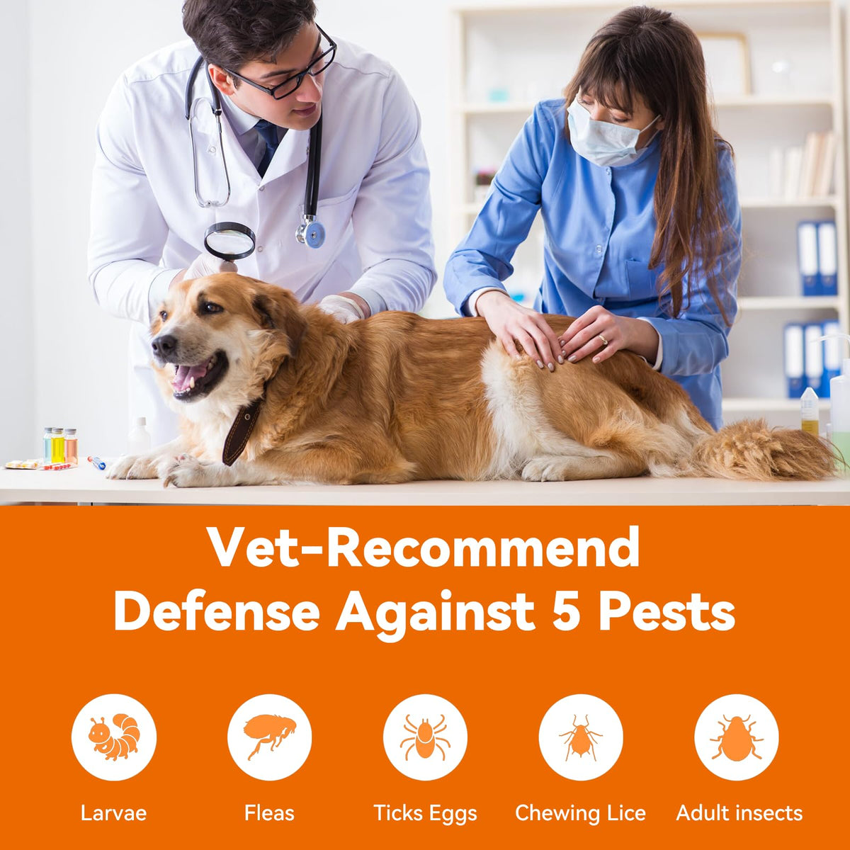 Flea and Tick Prevention for Large Dogs 3 Monthly Doses U172