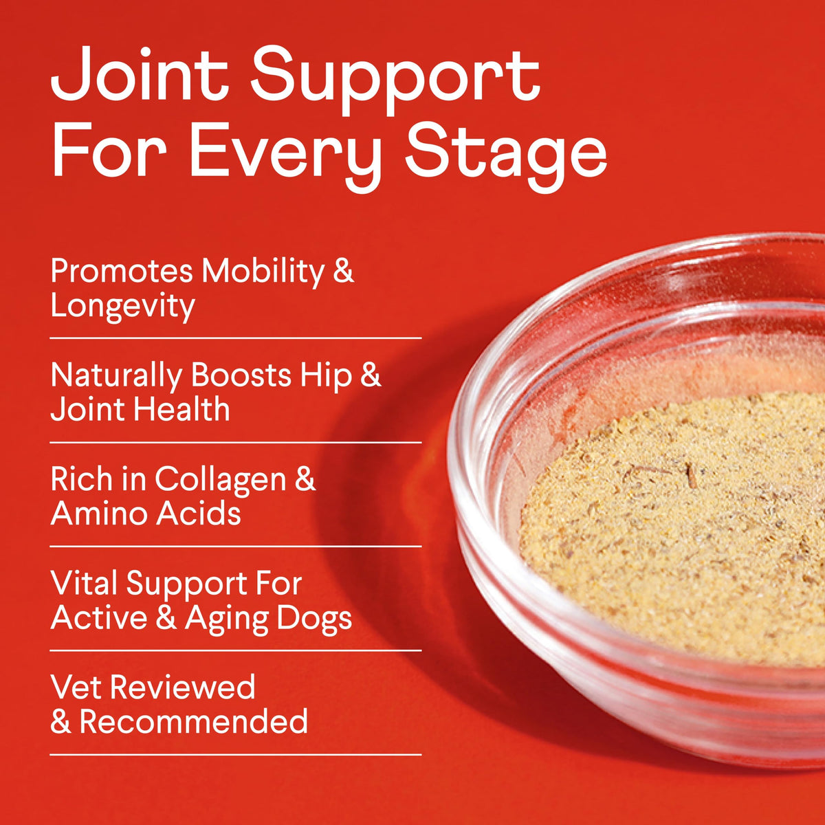 Bone Broth Plus for Dogs 8 oz H4986