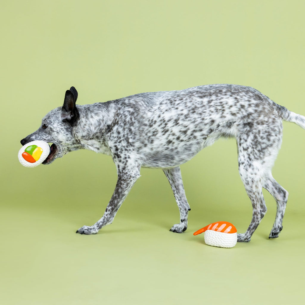 Set of 2 Latex Dog Toy Sets J1170