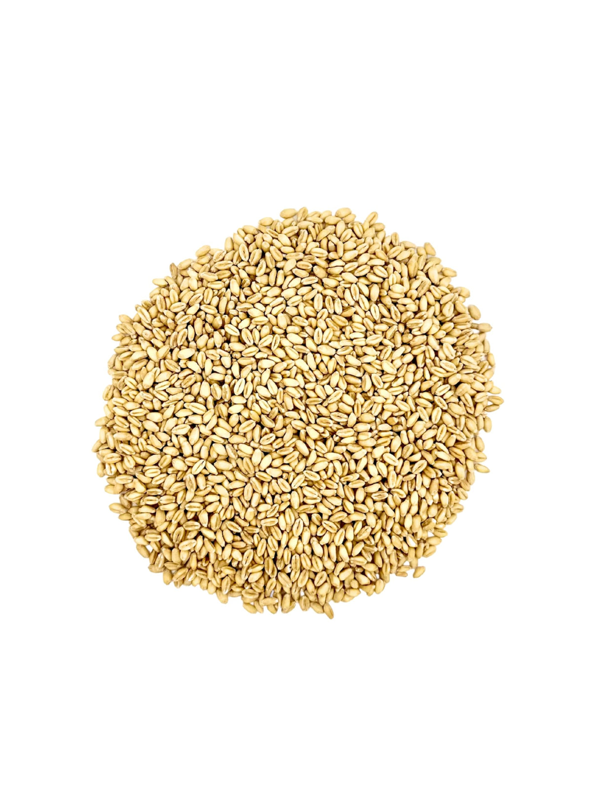 Soft White Wheat Berries 23 lbs Non-GMO E259