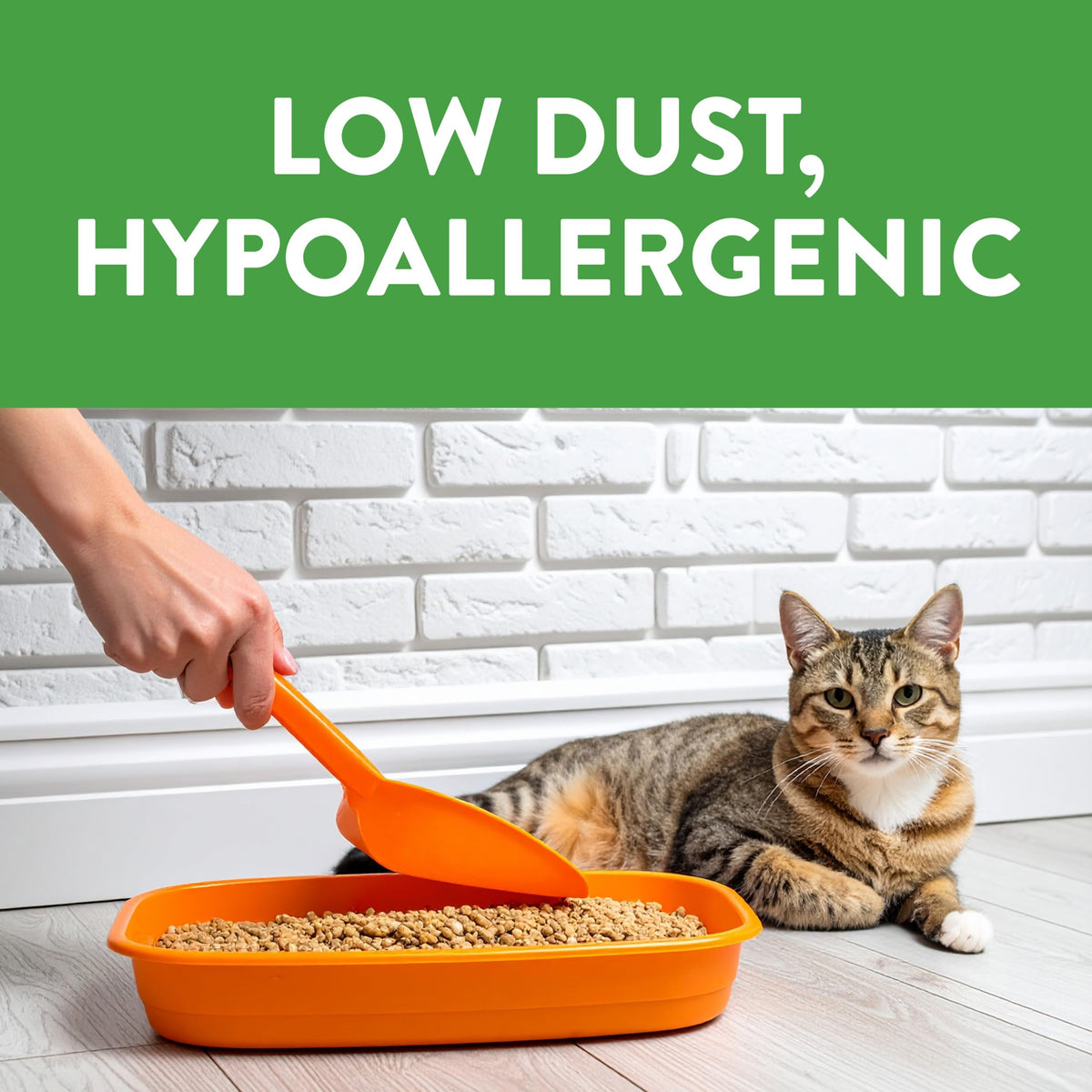 Non-Clumping Cat Litter 17lb V447