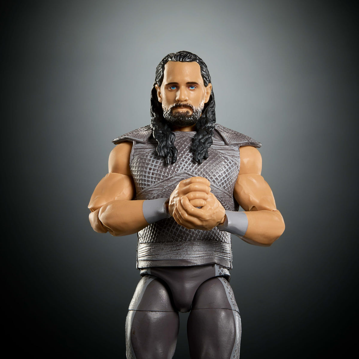 WWE Action Figure & Accessories I23629