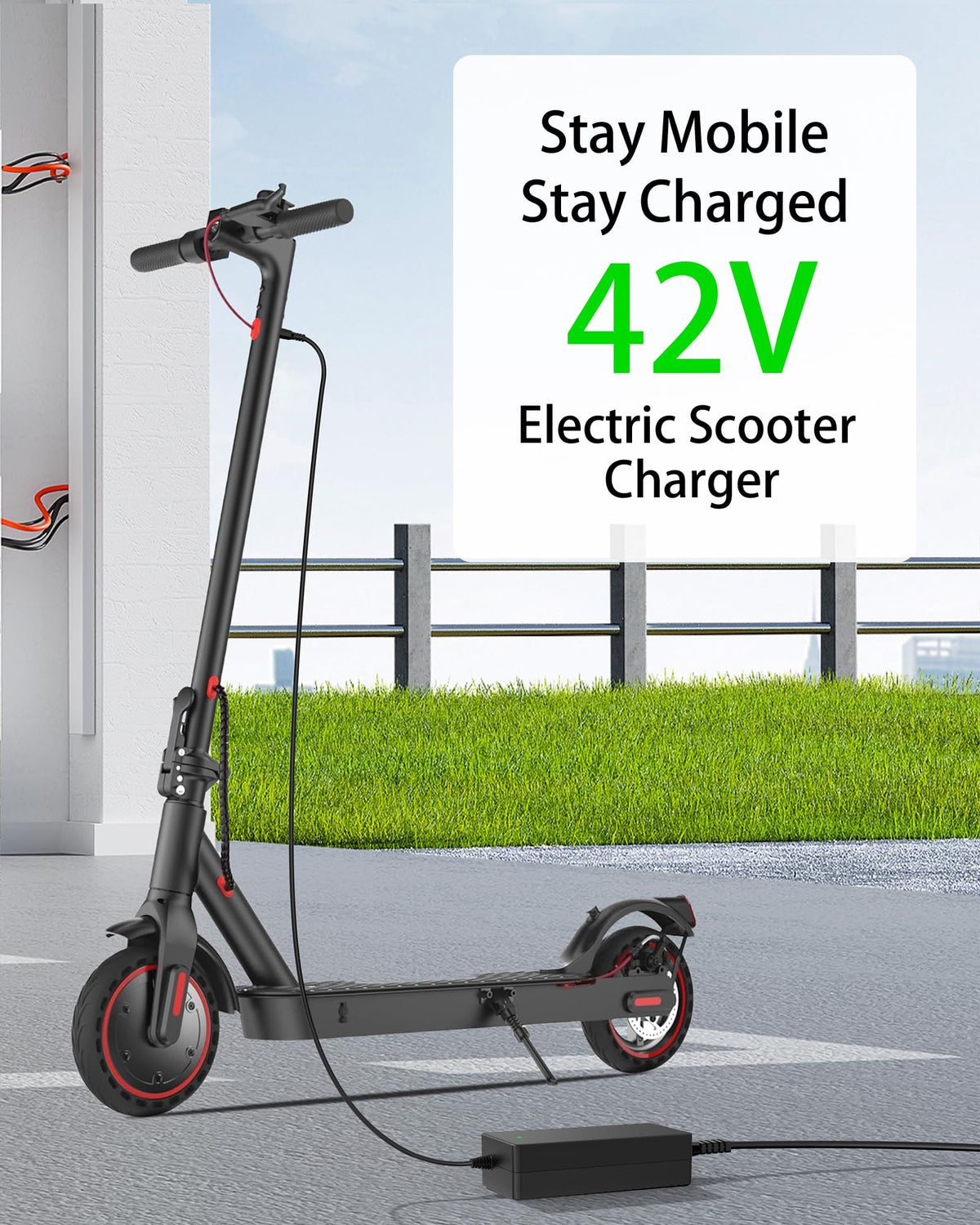 42V Charger for Electric Scooter D978