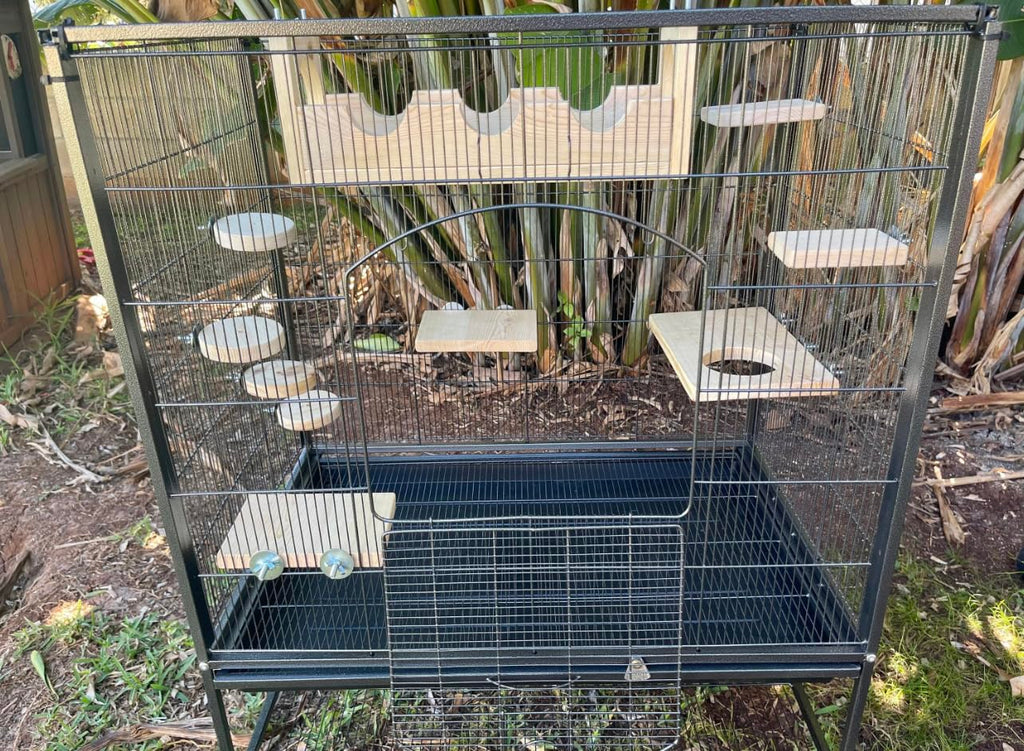 10 Piece Pine Pet Steps and Ledges Y21428