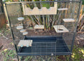 10 Piece Pine Pet Steps and Ledges Y21428
