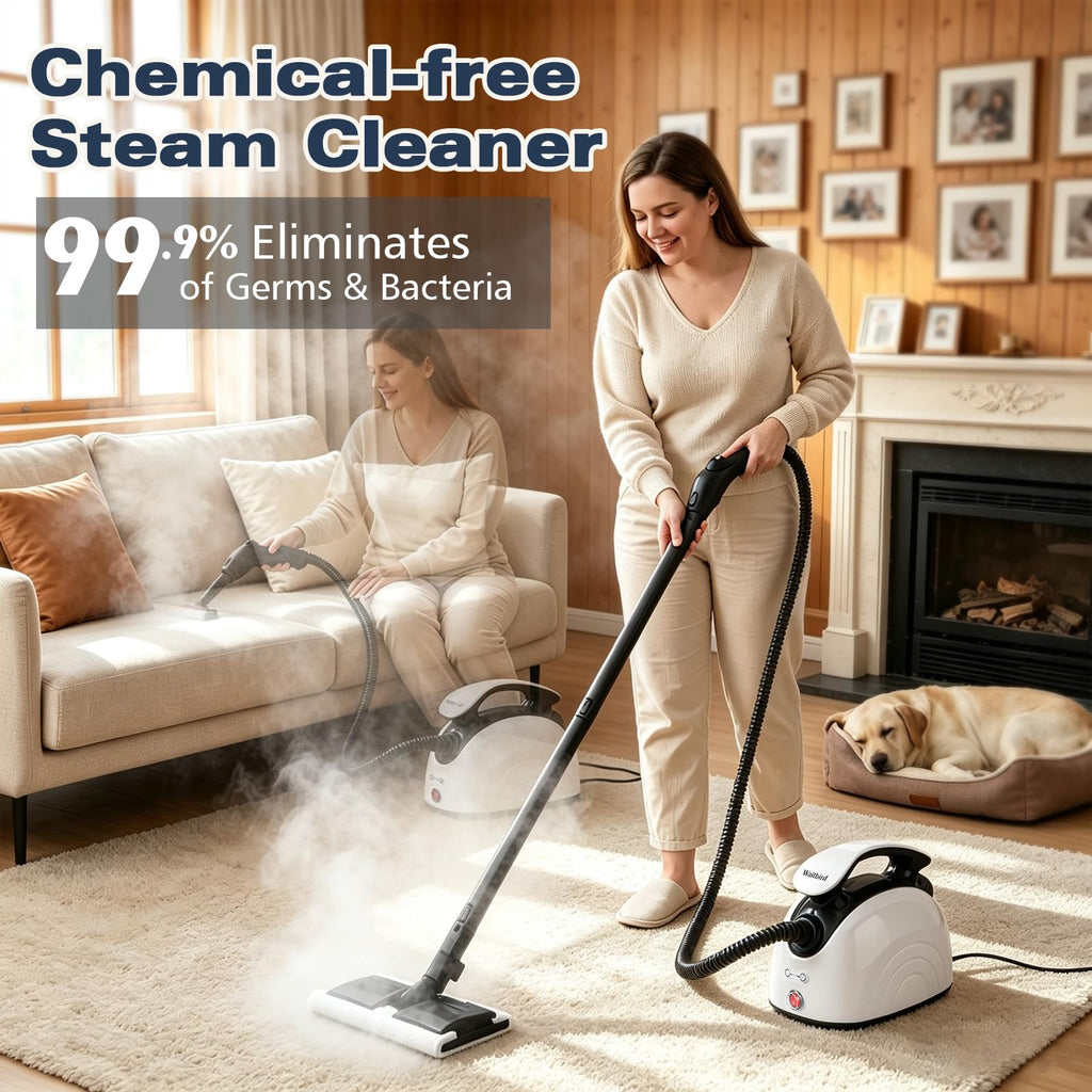 4.5 Bar 300°F Steam Cleaner Z152