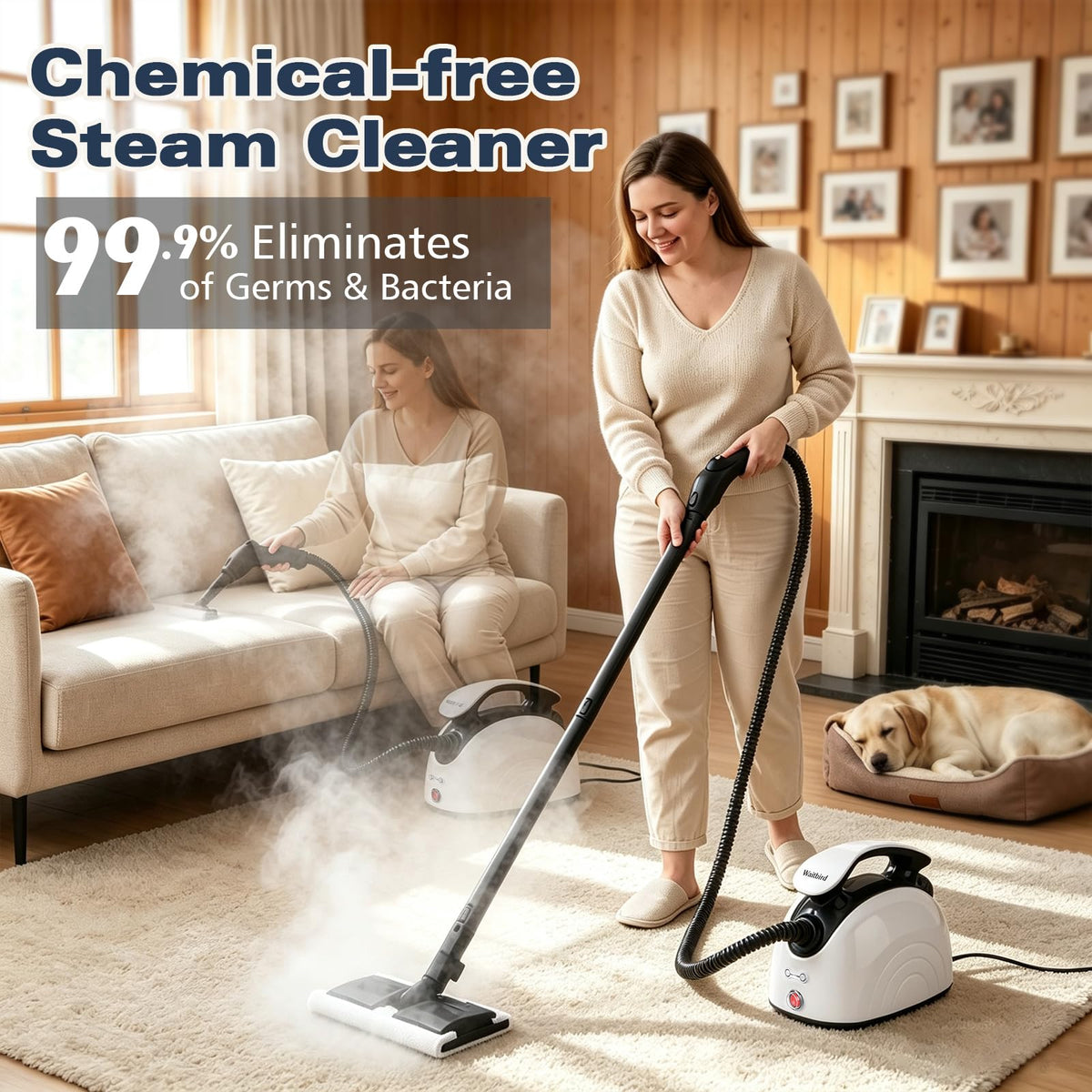 4.5 Bar 300°F Steam Cleaner Z152