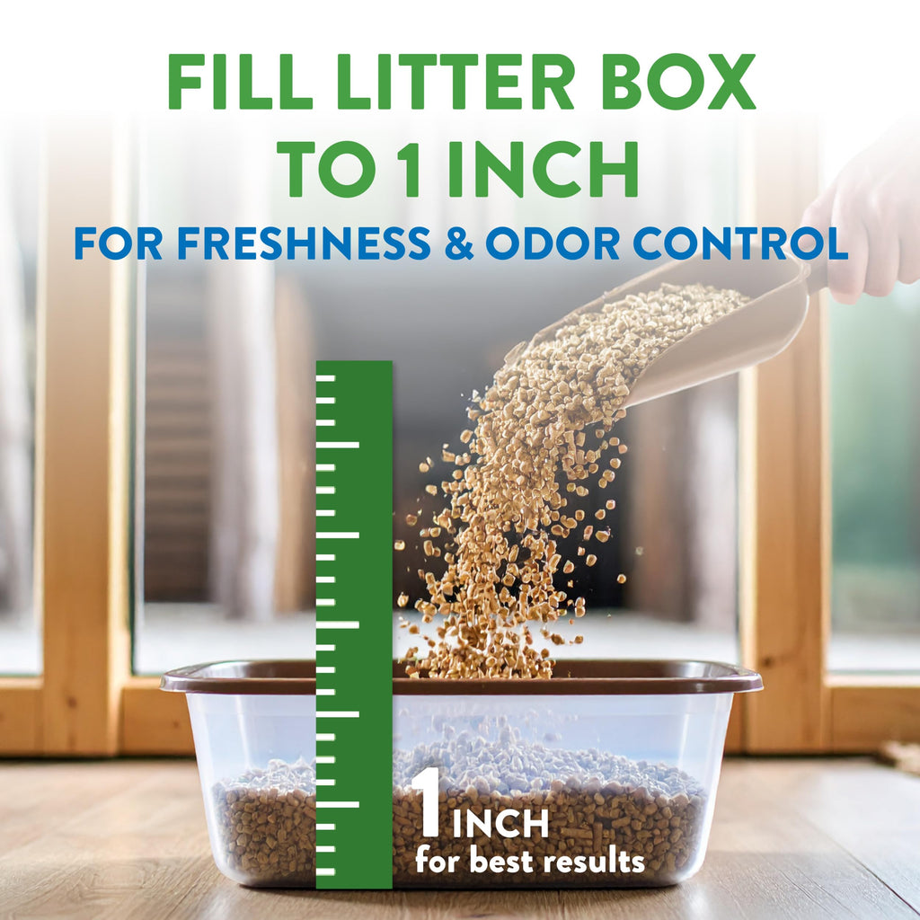 Non-Clumping Cat Litter 17lb V447