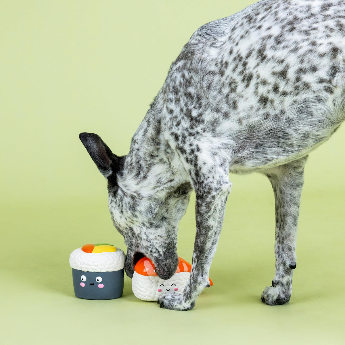 Set of 2 Latex Dog Toy Sets J1170