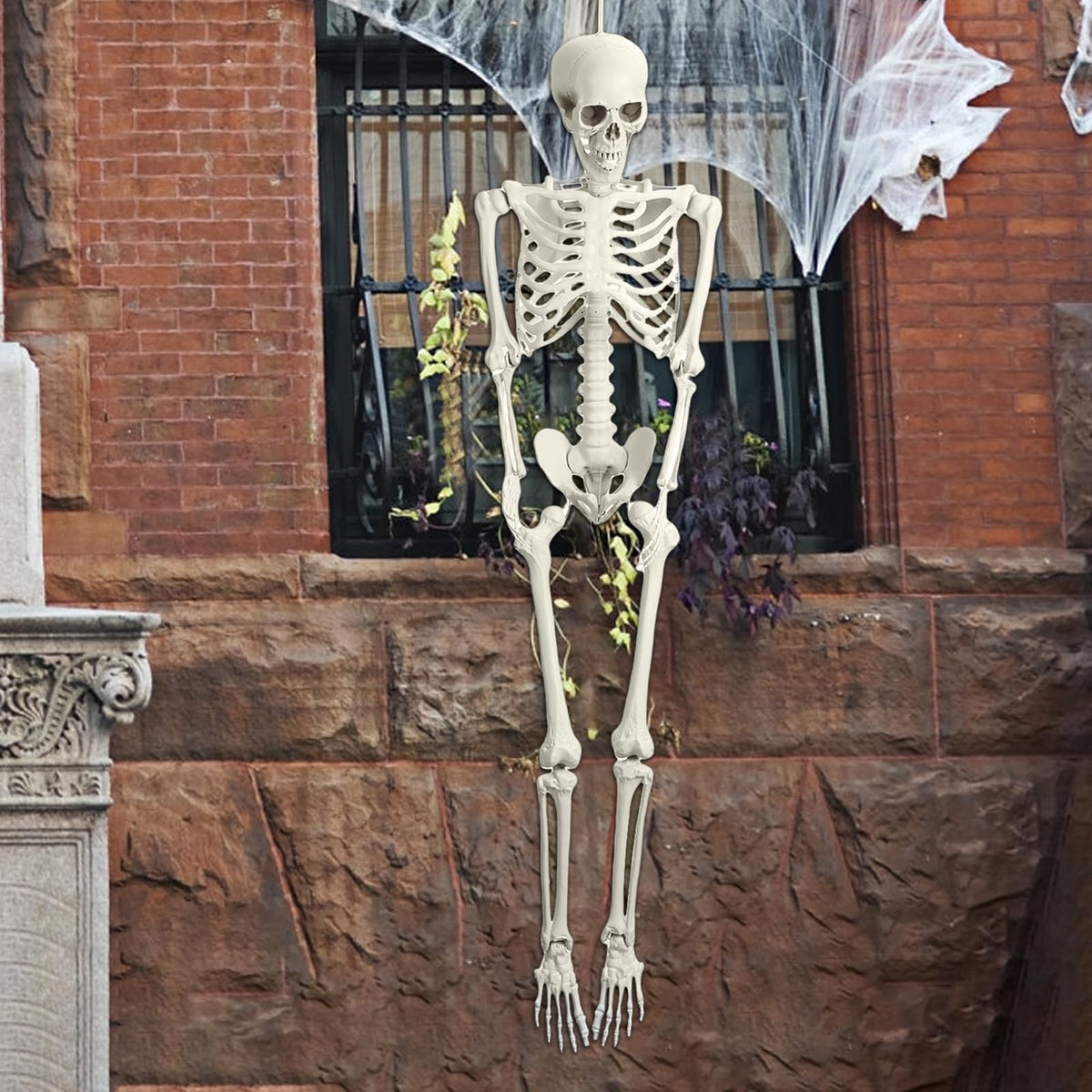 5.4FT Posable Skeleton with Movable Joints H175
