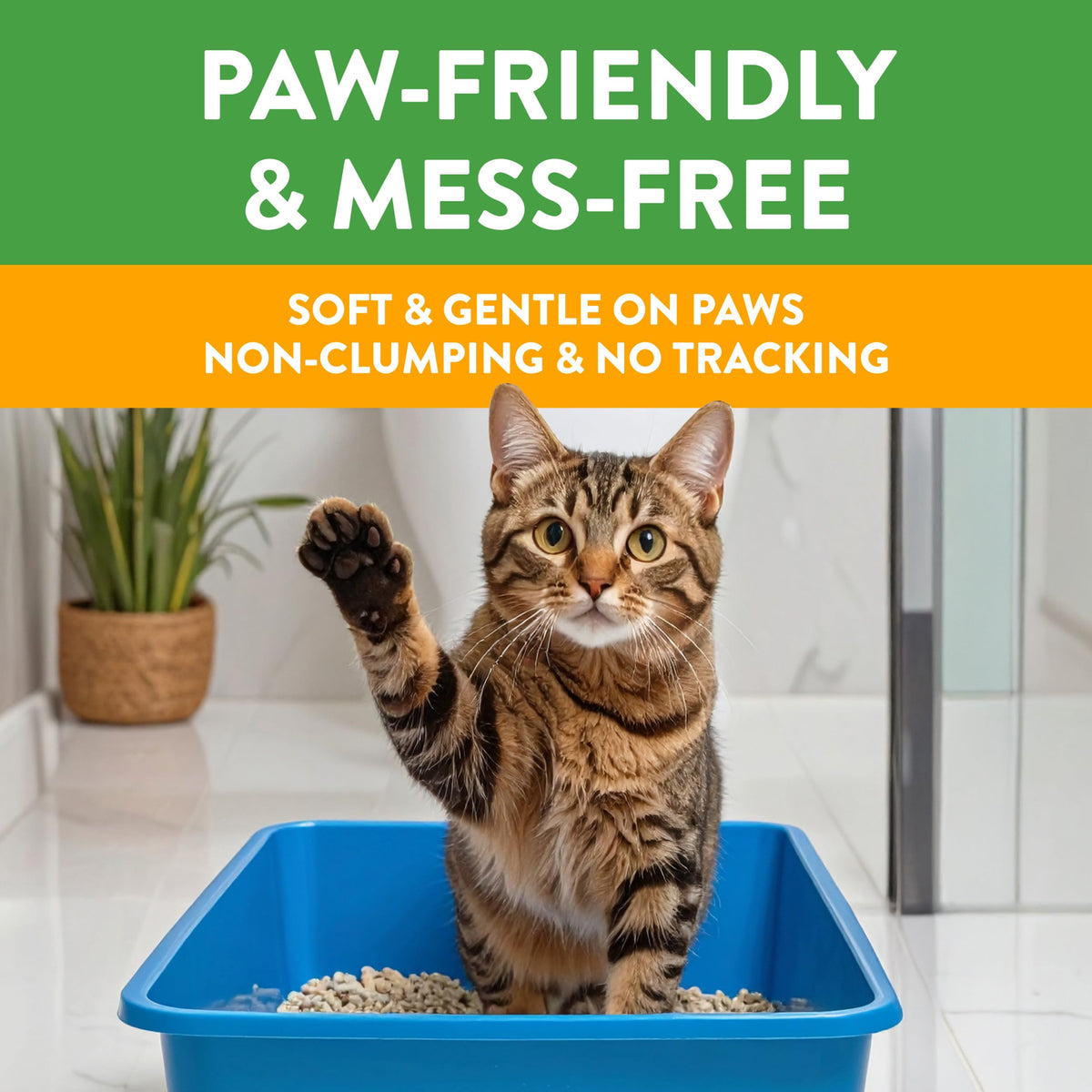 Non-Clumping Cat Litter 17lb V447