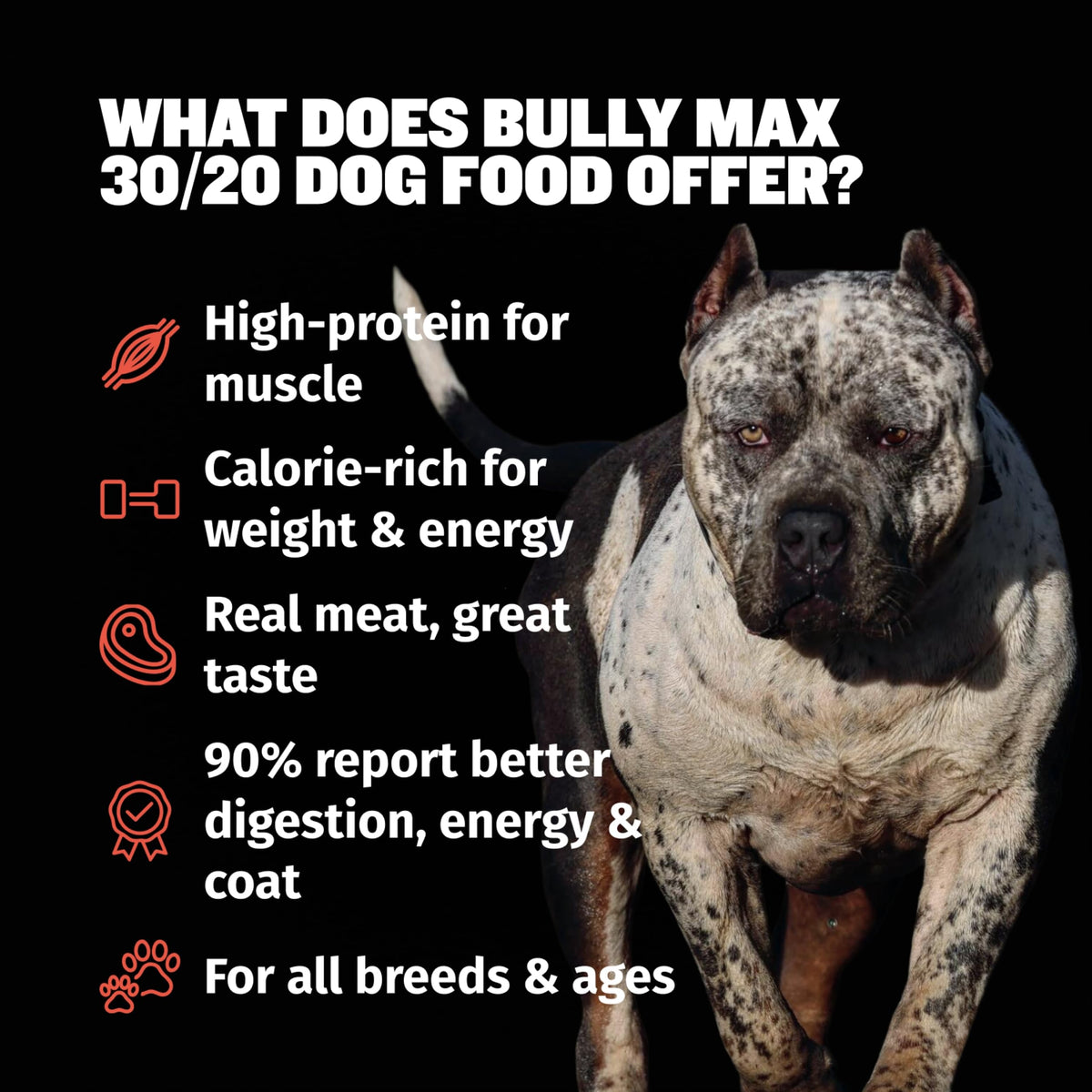 High Protein Beef Dog Food 15 lbs. Weight Gainer Supplement Bundle R34717