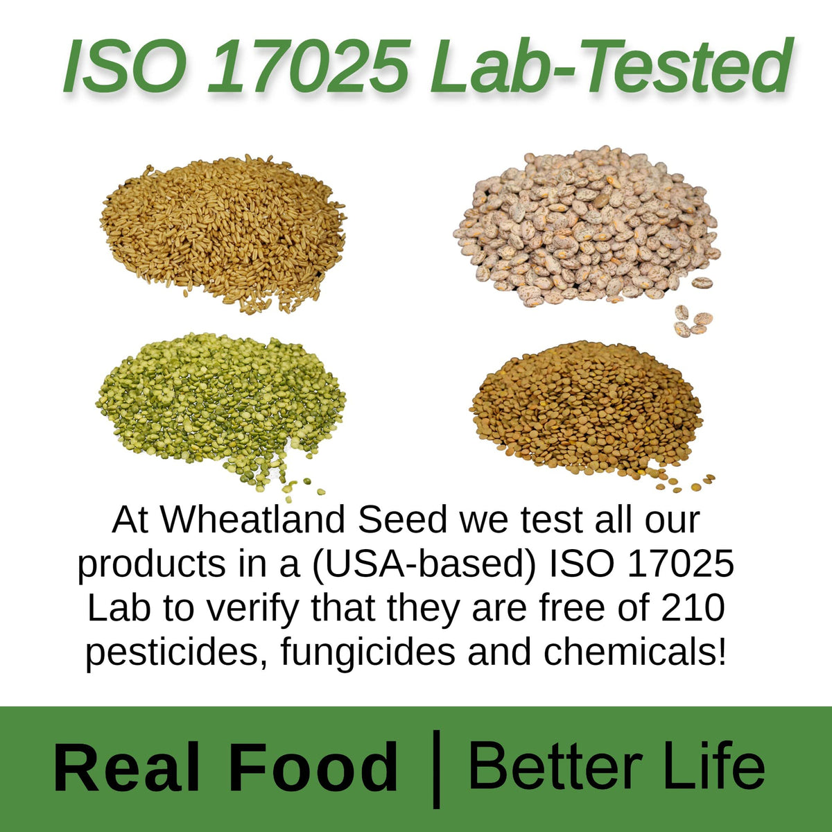Soft White Wheat Berries 23 lbs Non-GMO E259